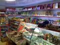 Магазины и бутики • 47.6 м² за 33 млн 〒 в Талдыкоргане, мкр Мушелтой — фото 3
