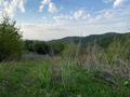 Участок · 1 га, мкр Горный Гигант за 38 млн ₸ в Алматы, Медеуский р-н — фото 5