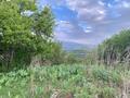 Участок · 1 га, мкр Горный Гигант за 38 млн ₸ в Алматы, Медеуский р-н — фото 7
