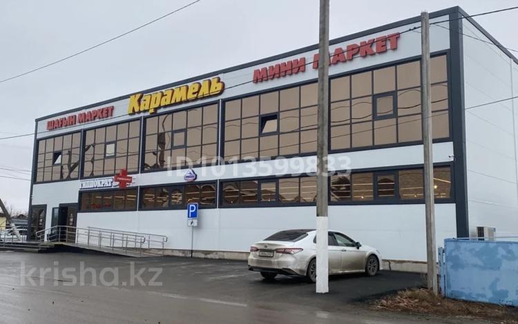Еркін, дүкендер мен бутиктер, қоғамдық тамақтану орны · 480 м², бағасы: ~ 3.8 млн ₸ в  — фото 2