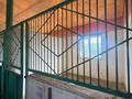 Сельское хозяйство · 300 м² за 111 млн ₸ в Талапкер  — фото 2