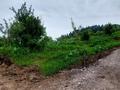 Участок · 6 соток, Бескайнар (Горный Садовод) за 12 млн ₸ — фото 5