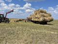 Участок · 4200 га, Тауелсиһдик 1 — Тургайский со за 250 млн ₸ в Ерейментау — фото 3
