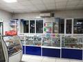 Магазины и бутики • 140 м² за 35.5 млн 〒 в Северо-Казахстанской обл. — фото 19