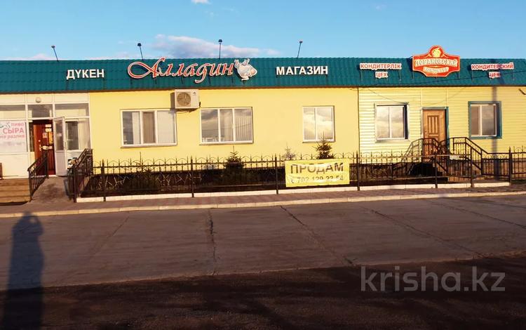 Магазины и бутики • 140 м² за 35.5 млн 〒 в Северо-Казахстанской обл. — фото 6
