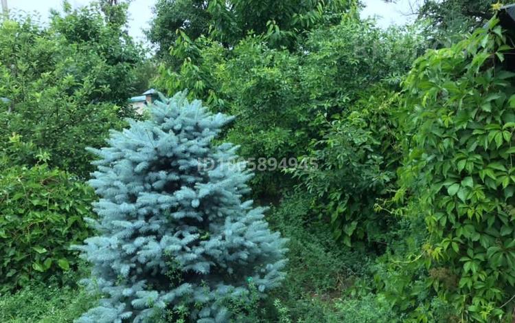 Дача · 3 комнаты · 100 м² · 8 сот., Русские березки — Дача Кайнар булак за 27 млн 〒 в Шымкенте, Каратауский р-н — фото 2