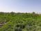 Участок · 190 соток, Набережная 1 за ~ 170.8 млн 〒 в Талгаре