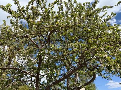 Дача · 3 комнаты · 20 м² · 11.4 сот., Озерная за 2.9 млн 〒 в Темиртау