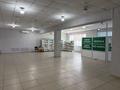 Свободное назначение · 200 м² за 900 000 ₸ в Темиртау — фото 2