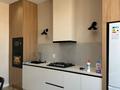 2-комнатная квартира · 42 м² · 8/9 этаж, мкр Нуртас, Жилмассив Нурсат 135 за 250 000 ₸ в Шымкенте, Каратауский р-н — фото 11