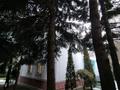Жеке үй · 7 бөлме · 350 м² · 13 жүзд., Көктөбе ш/а., Жанибекова 35, бағасы: 2 млн ₸ в Алматы, Медеуский р-н — фото 6