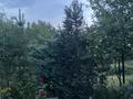 Отдельный дом · 1 комната · 52 м² · 6 сот., Заря 2007 102 за 25 млн ₸ в  — фото 15