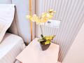 2-бөлмелі пәтер · 50 м² · 5/10 қабат, К. Сатпаева 24 — Момышулы, бағасы: 20 000 ₸ в Астане, Алматы р-н — фото 22