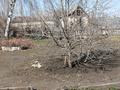 Жер телімі · 5 сотық, Костанай, бағасы: 1.2 млн ₸ — фото 10
