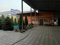 Отдельный дом · 15 комнат · 300 м² · 10 сот., Мусаева 6 а за 205 млн ₸ в Алатау — фото 8