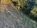 Дача · 4 комнаты · 34.2 м² · 8 сот., Мелиоратор 71 за 6.5 млн ₸ в Актобе, жилой массив Акжар-2 — фото 11