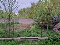 Отдельный дом · 6 комнат · 180 м² · 16.7 сот., Акпан батыр 73 — Село Рабат, ближе к городу Шымкент. за 30 млн ₸ в Казыгурте — фото 11