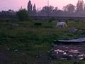 Жер телімі · 51 сотық, ул. Есимбекова район гостиницы. Жданова, бағасы: 32.5 млн ₸ в Мерке — фото 43