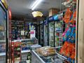 Магазины и бутики · 64 м² за 60 млн ₸ в Алматы, Медеуский р-н — фото 2