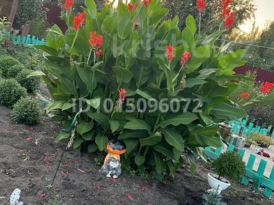 Дача · 3 комнаты · 100 м² · 10 сот., 31 линия 15 участок — Дачное общество ромашка за 15 млн ₸ в Петропавловске