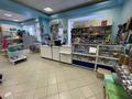 Свободное назначение, магазины и бутики · 930 м² за 450 млн ₸ в Костанае — фото 21