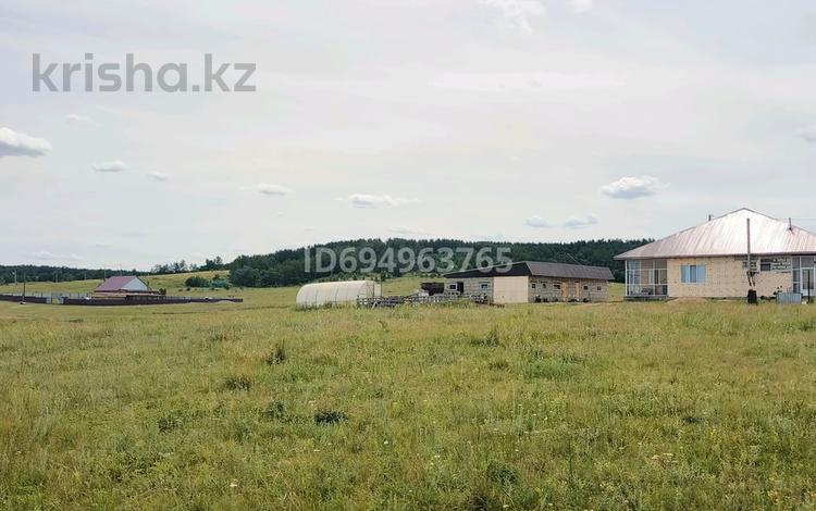 Жер телімі · 8 сотық, Шопты, бағасы: 2.5 млн ₸ в Кокшетау — фото 7