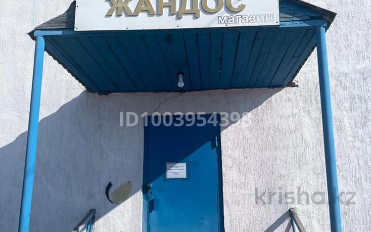 Дүкендер мен бутиктер · 63 м², бағасы: 17 млн ₸ в Каркаралинске — фото 2
