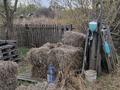 Дача · 1 комната · 20 м² · 6 сот., мкр Фёдоровка , Березовая 45 за 2.8 млн 〒 в Караганде, Казыбек би р-н — фото 12