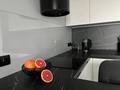 2-бөлмелі пәтер · 60 м² · 9/18 қабат, Розыбакиева 237, бағасы: 23 000 ₸ в Алматы, Бостандыкский р-н — фото 7