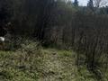 Участок · 6 соток, Ульбинский за 1.5 млн ₸ в Усть-Каменогорске — фото 7