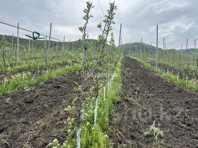Фазенду с яблоневым садом и птичниками, 1000 м² за 290 млн 〒 в Талгаре