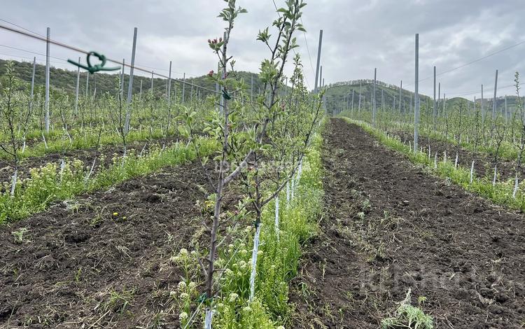 Фазенду с яблоневым садом и птичниками, 1000 м² за 290 млн 〒 в Талгаре — фото 2