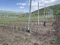 Фазенду с яблоневым садом и птичниками, 1000 м² за 290 млн 〒 в Талгаре — фото 12