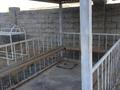 Свободное назначение, образование · 240 м² за 38 млн ₸ в Туркестане — фото 7