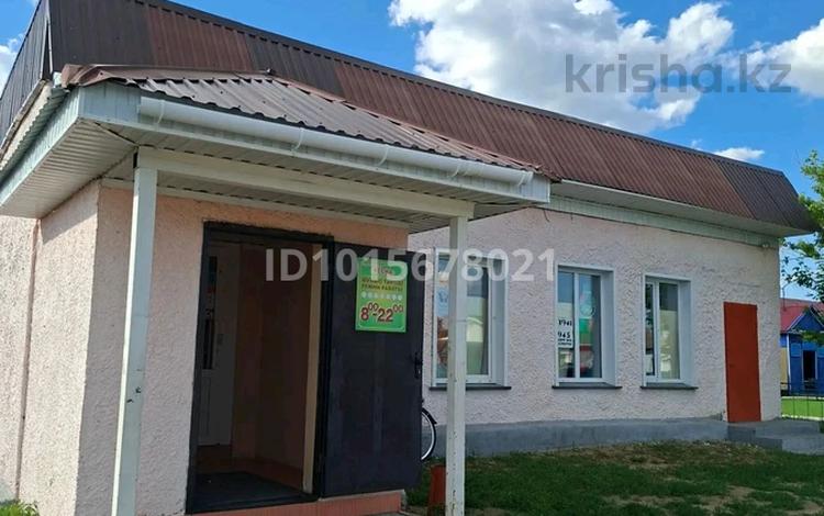 Дүкендер мен бутиктер · 200 м², бағасы: 23 млн ₸ в Новокаменка — фото 5