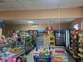 Дүкендер мен бутиктер · 200 м², бағасы: 23 млн ₸ в Новокаменка — фото 2