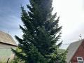 Дача · 3 комнаты · 40 м² · 6 сот., Ст Авиатор 42 за 5.3 млн ₸ в Усть-Каменогорске — фото 35