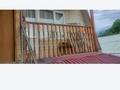 Часть дома · 3 комнаты · 80 м² · 2 сот., мкр Коктобе, Багланова 16б — Мечеть Коктюбе за 300 000 ₸ в Алматы, Медеуский р-н — фото 2