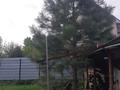 Отдельный дом · 4 комнаты · 96 м² · 11 сот., Кейки батыра (бывш.Степная) — Магазин "Радуга" (новая) за 30 млн ₸ в Байсерке — фото 8