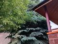 Отдельный дом · 7 комнат · 290 м² · 5.6 сот., мкр Таусамалы, Жанат 25a — Остановка "Айболит" за 1 млн ₸ в Алматы, Наурызбайский р-н — фото 4