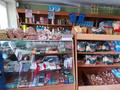Магазины и бутики • 68 м² за 15 млн 〒 в Сарыкемере — фото 3