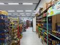 Готовый бизнес · 185 м² за 48 млн ₸ в Астане, Нура р-н — фото 11