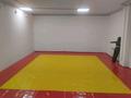 Еркін, фитнес және спорт · 60 м², бағасы: 400 000 ₸ в Астане, Есильский р-н