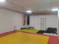 Еркін, фитнес және спорт · 60 м², бағасы: 400 000 ₸ в Астане, Есильский р-н — фото 3