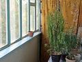 2-бөлмелі пәтер · 40 м² · 4/5 қабат, Акназархана 58, бағасы: 15 млн ₸ в Шымкенте, Енбекшинский р-н — фото 2