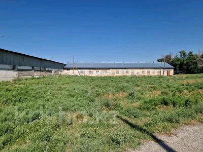 Промбаза · 29 га, Толе би 8 — Сельхоз база за 3 млн ₸ в Касымбек датка