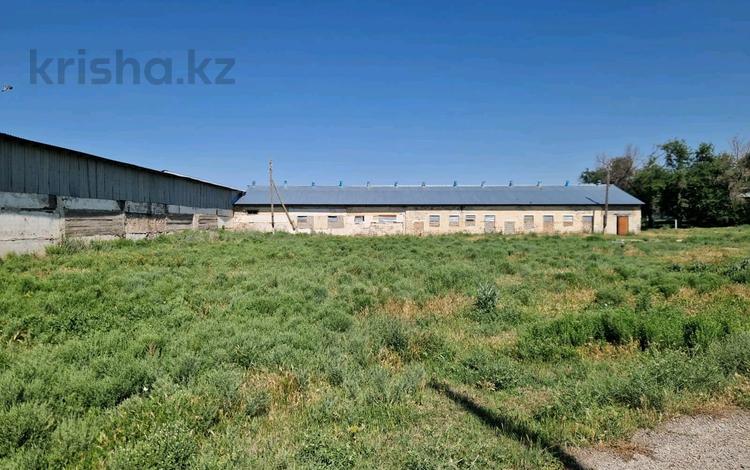 Промбаза · 29 га, Толе би 8 — Сельхоз база за 3 млн ₸ в Касымбек датка — фото 2