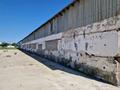 Промбаза · 29 га, Толе би 8 — Сельхоз база за 3 млн ₸ в Касымбек датка — фото 4