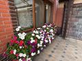 Жеке үй · 4 бөлме · 130 м² · 6 жүзд., Орджоникидзе 100, бағасы: 125 млн ₸ в Алматы, Турксибский р-н — фото 17