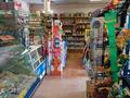 Магазины и бутики • 50 м² за 36 млн 〒 в Таразе — фото 5